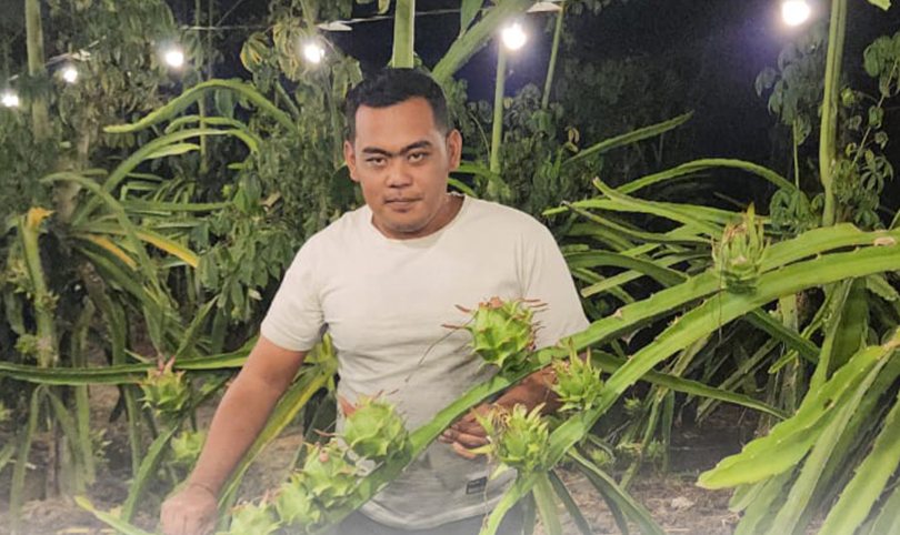 Pak Neno Galih berdiri di ladang buah naga pada malam hari, bohlam menyala di belakangnya